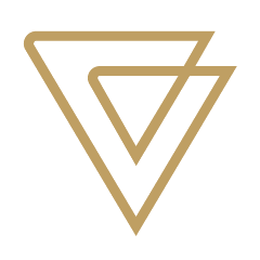 Vanguard Vision Hub logo